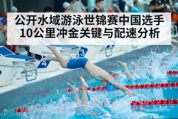 公开水域游泳世锦赛中国选手10公里冲金关键与配速分析